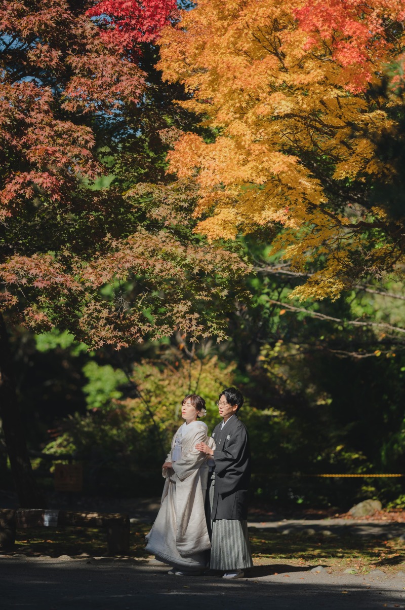紅葉と