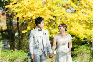 イチョウ撮影のご紹介！