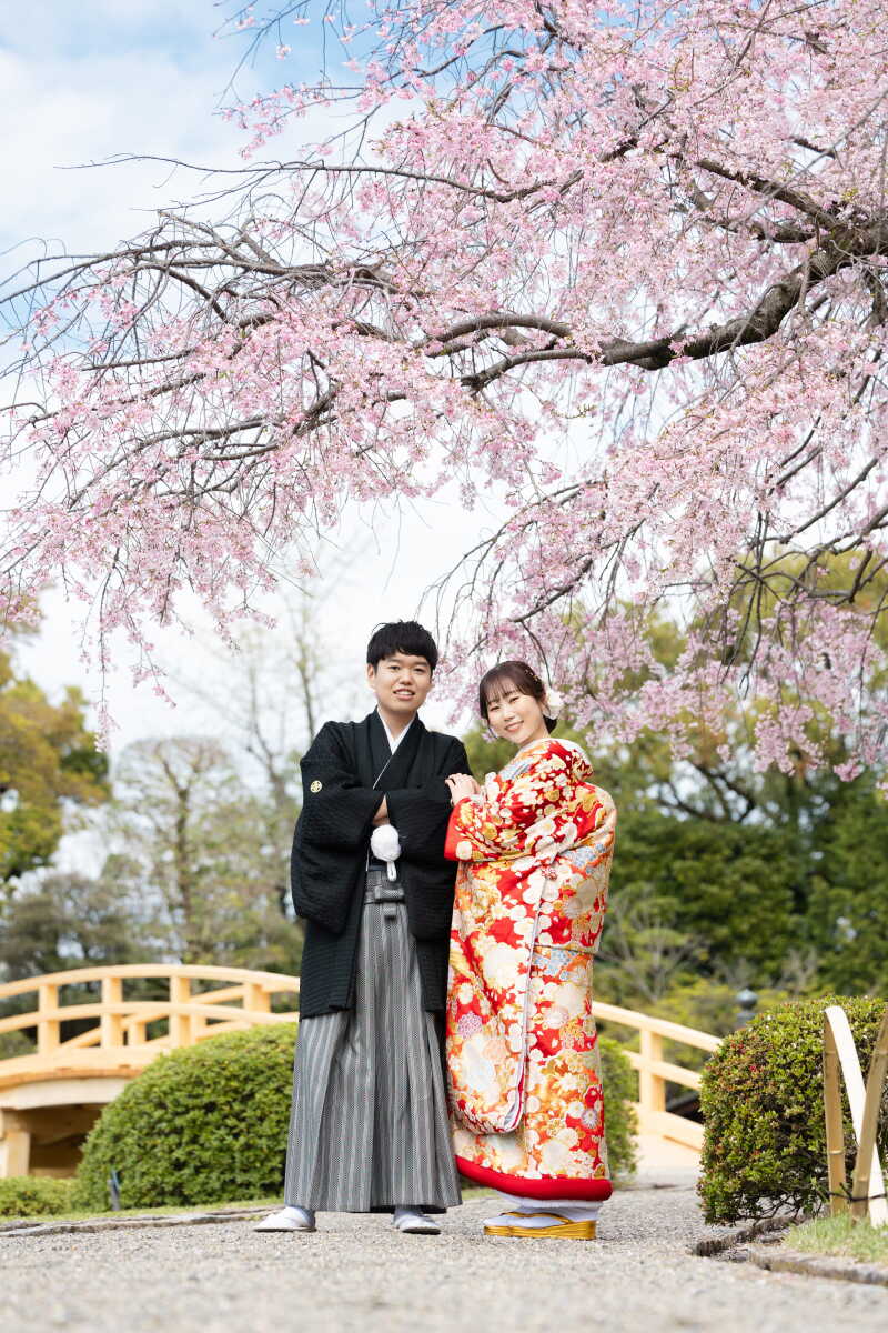 桜満開　花田苑