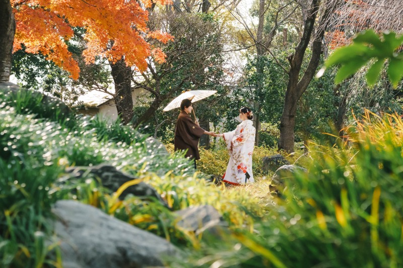 見頃を迎えた紅葉と一緒に