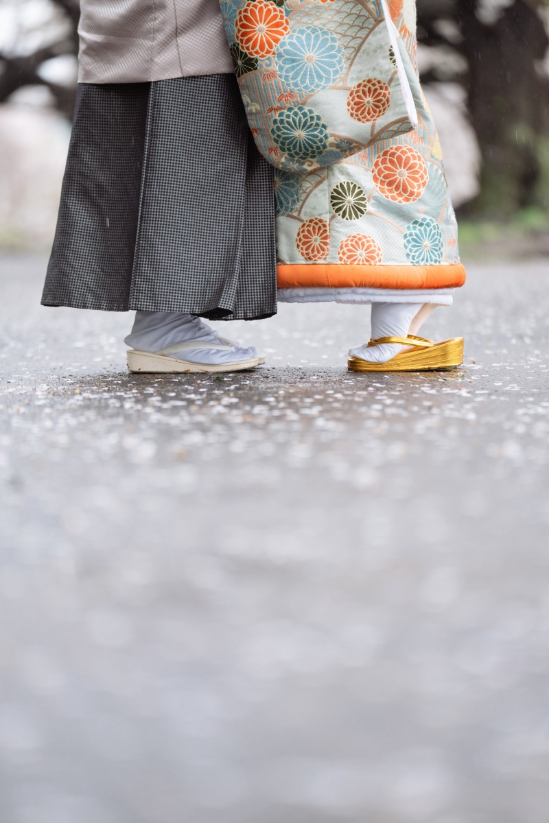 桜の花びらと足元と