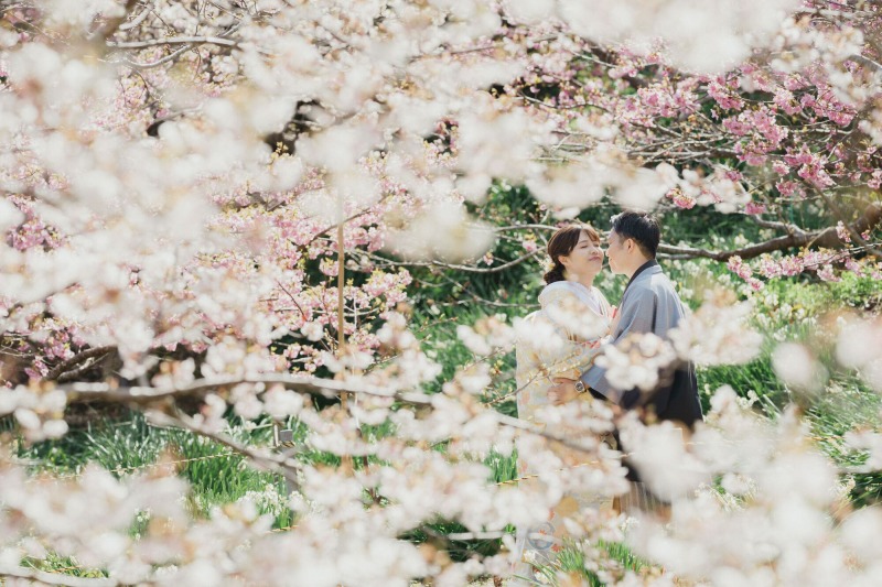 和装では桜と！