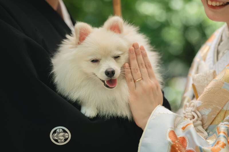 ワンちゃんも途中から参加!