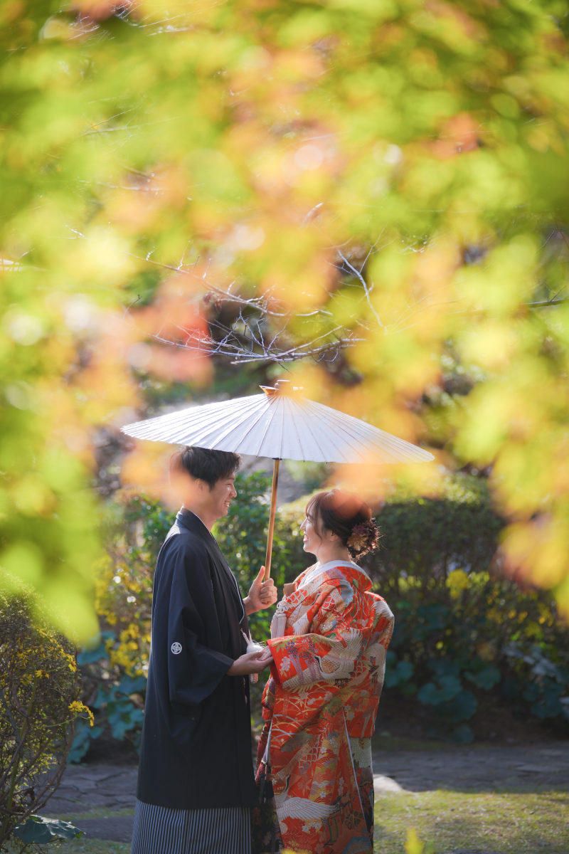 ボケ感を活かして、、