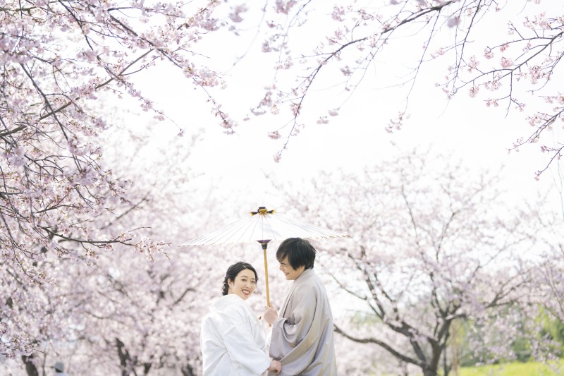 桜の季節がやってきました！