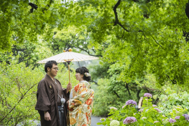 紫陽花の季節になりました
