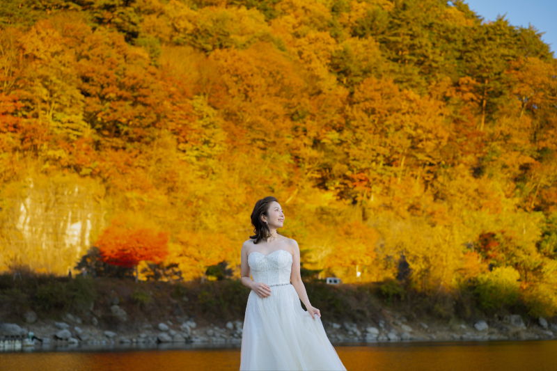 綺麗に黄色く染まった木々が秋らしさを演出！