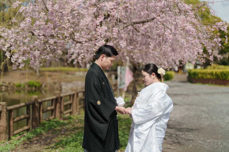 桜満開の公園で