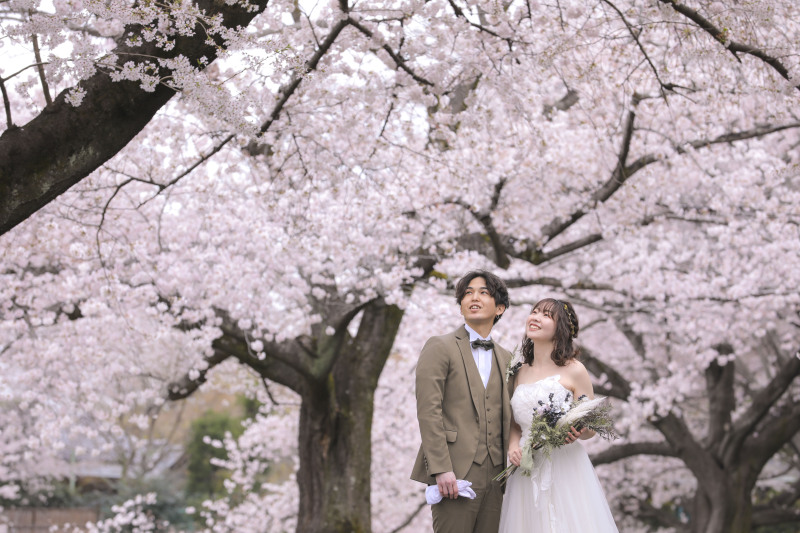 とっても綺麗....