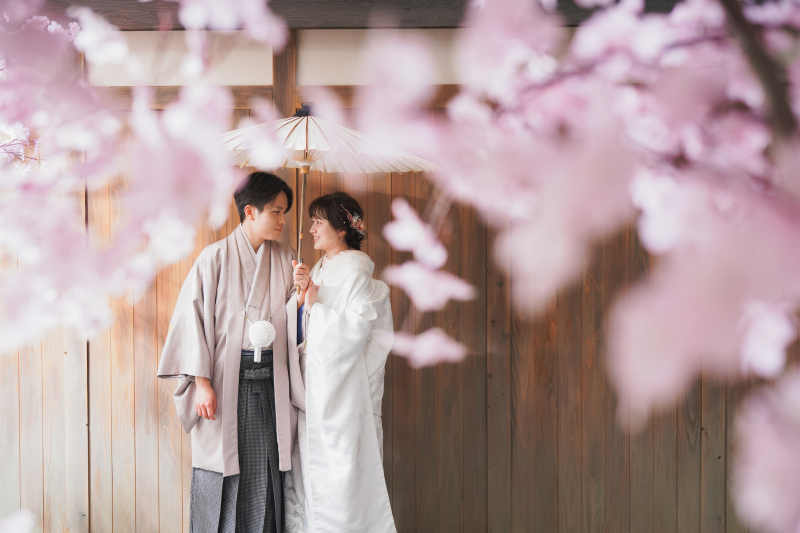 屋内庭園の桜を使って。