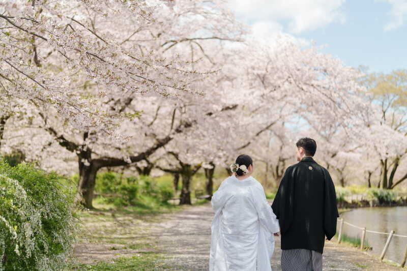 桜並木を抜けて