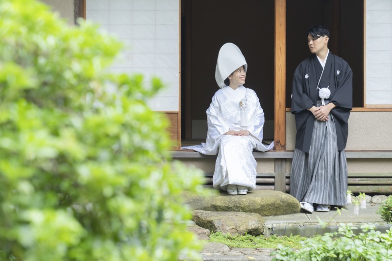 緑が青々としたシーズン