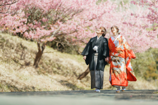 【今ならまだ間に合う！！2月限定】河津桜ロケーション！