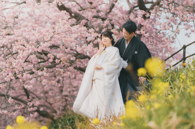 菜の花と桜