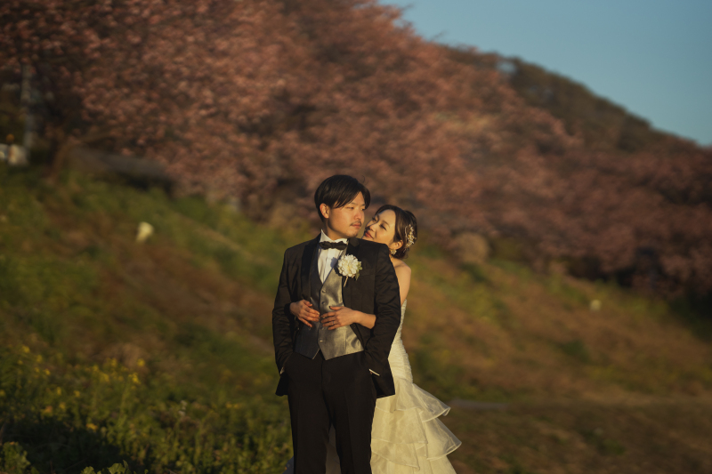 南伊豆の河津桜