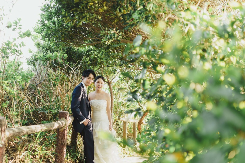 緑に囲まれた一枚