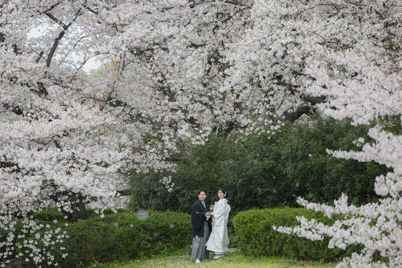 桜吹雪の中で！