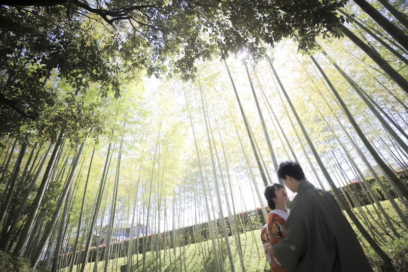 幻想的な１枚を！