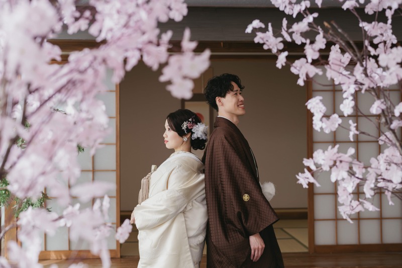 満開の桜に囲まれて