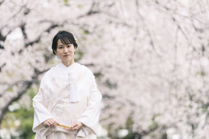 背景が桜一色に！