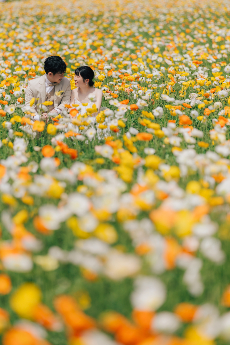 様々なお花での撮影