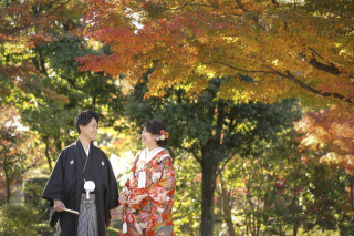 庭園ロケーション