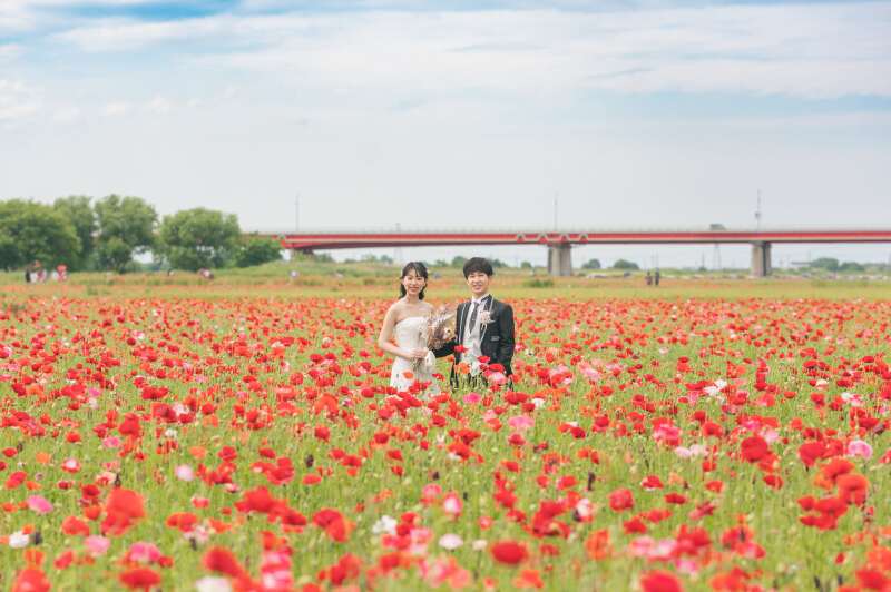 ポピー・ハッピースクエア