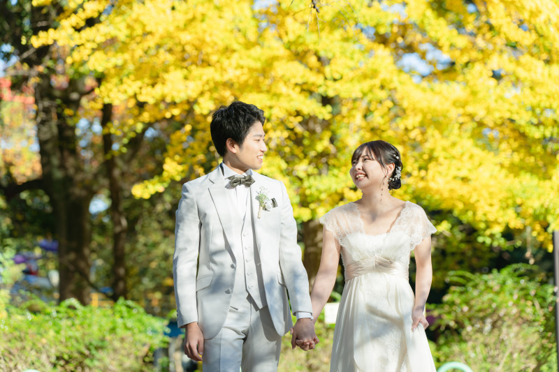 大宮公園のイチョウをご紹介＾＾