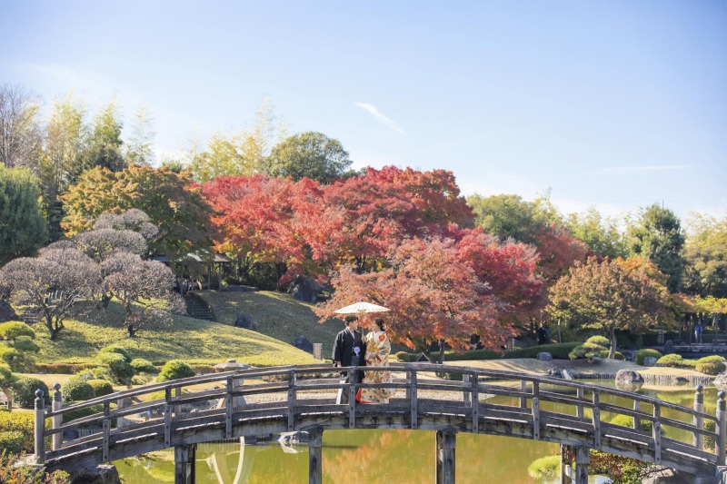 花田苑の紅葉