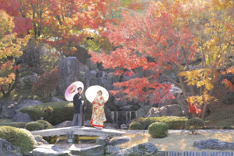 紅葉×和傘◎