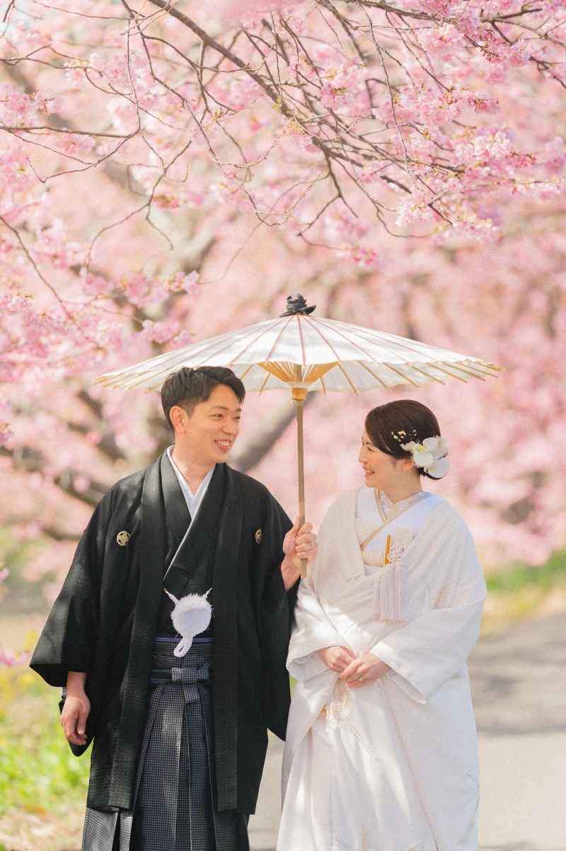桜×和傘