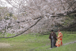 大宮公園＊桜ロケーション