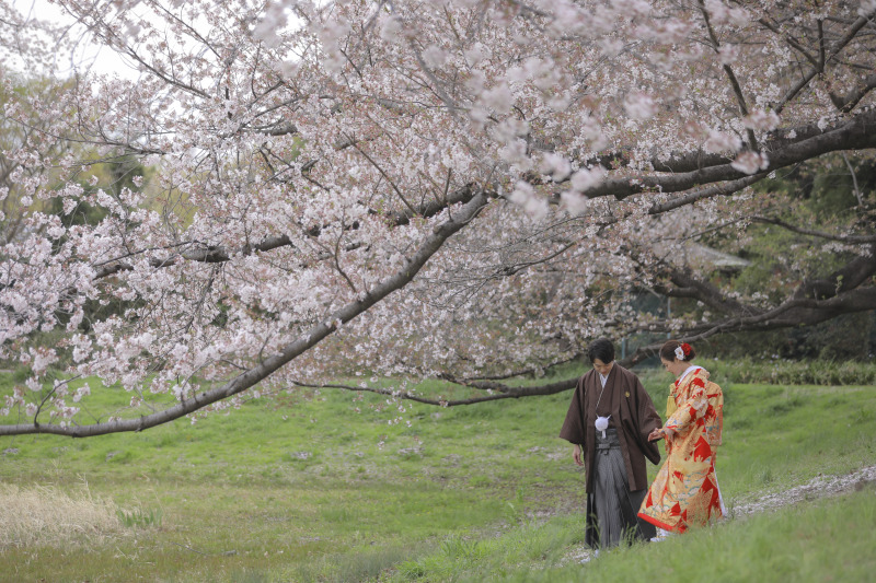 大宮公園*桜ロケーション