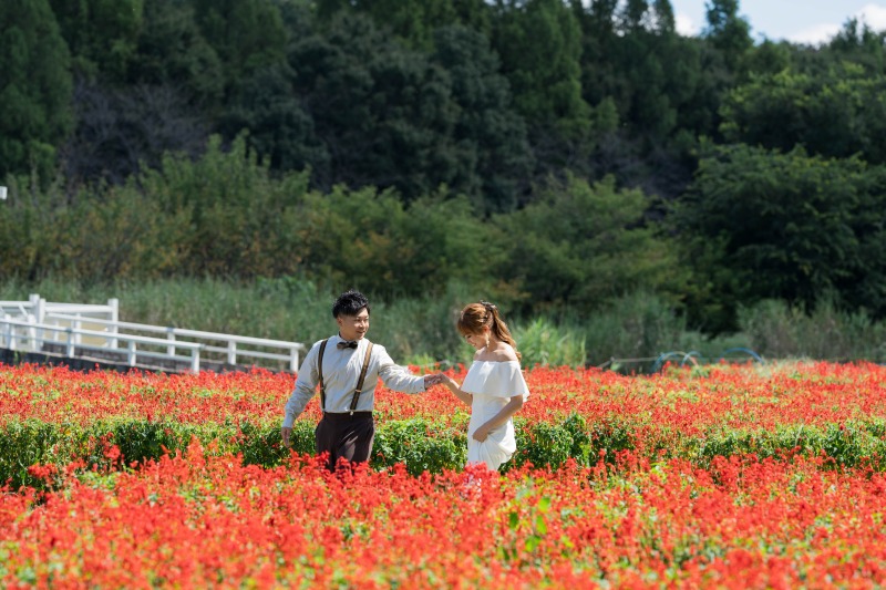 手を取り合って