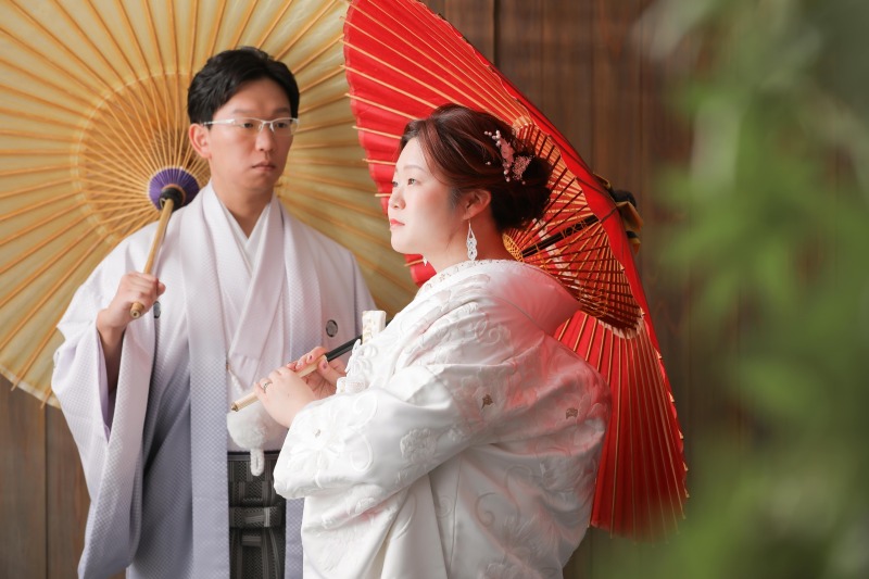 屋内庭園スタジオで