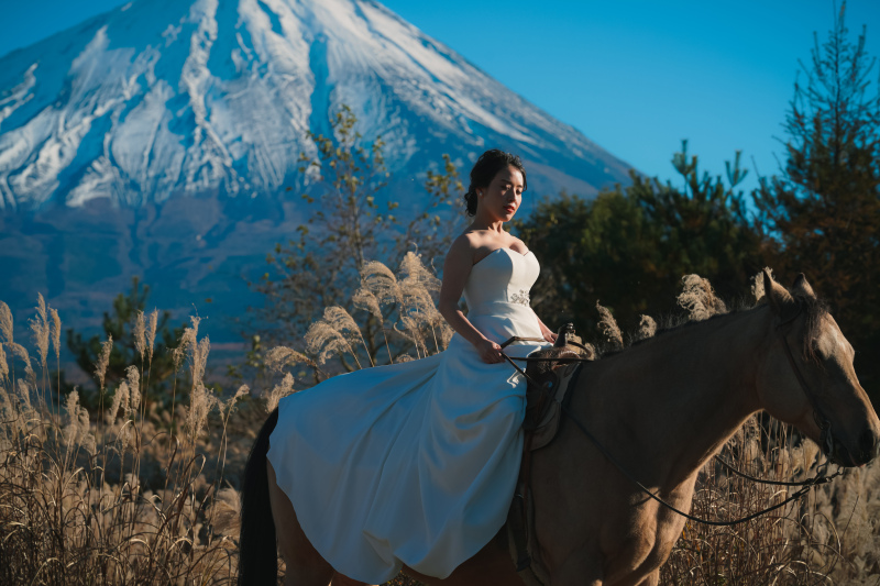 クールビューティー