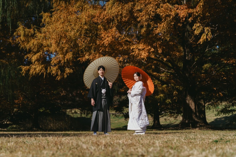 メタセコイヤ&times;和傘