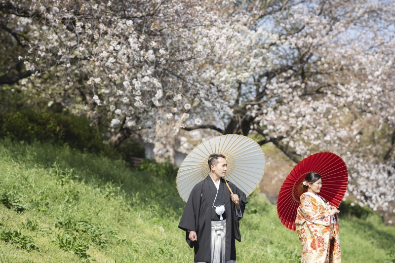 大宮第二公園　最後の桜