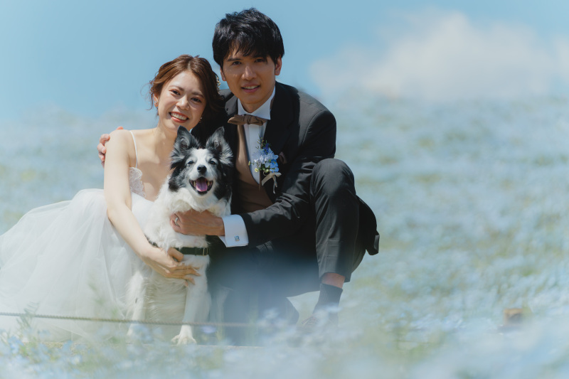 愛犬と