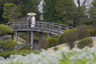 日本庭園_花田苑【桜】