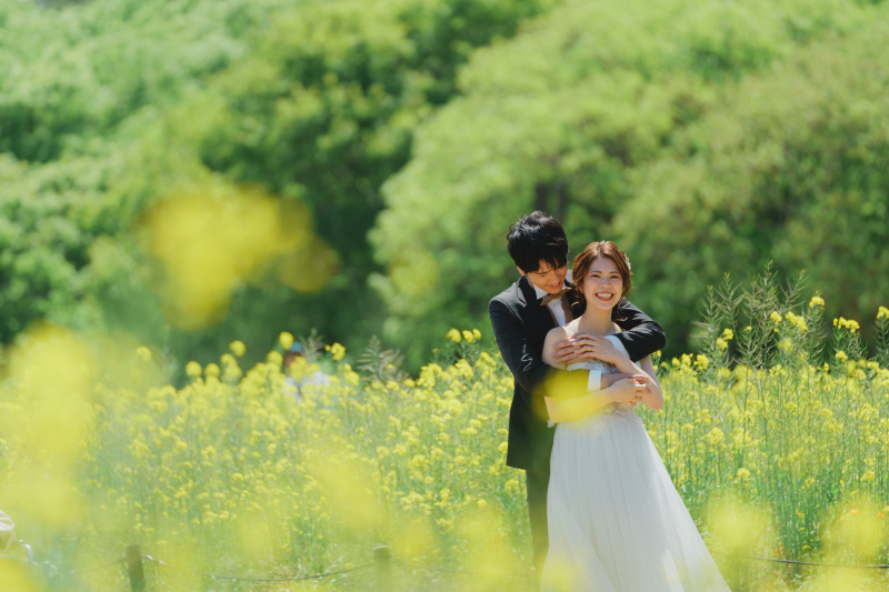 菜の花畑も