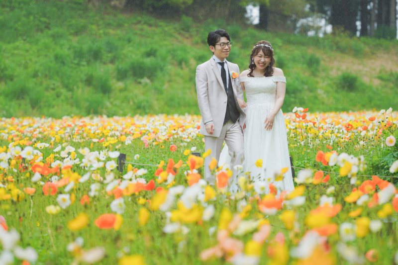 ポピーの花畑。