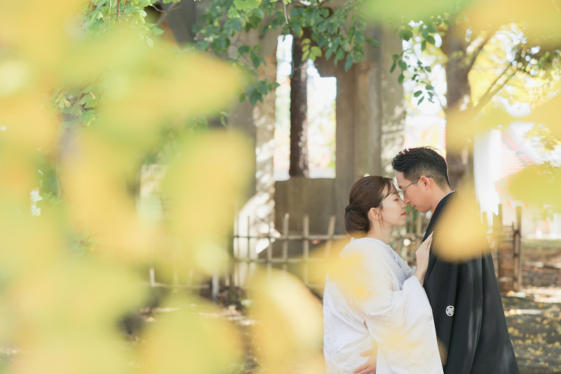 銀杏に囲まれて