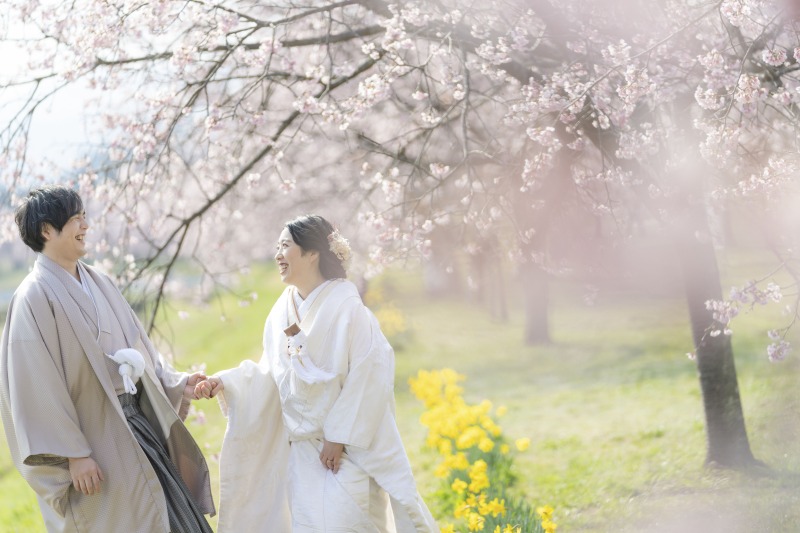 スイセンが咲いていました