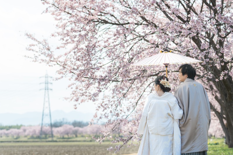 桜の道がずっと続いたロケーションスポット