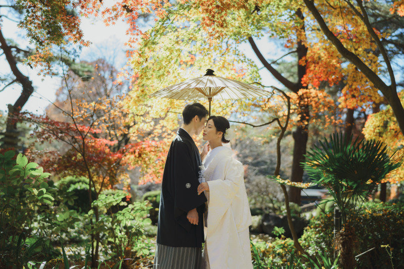紅葉がピークを迎えて