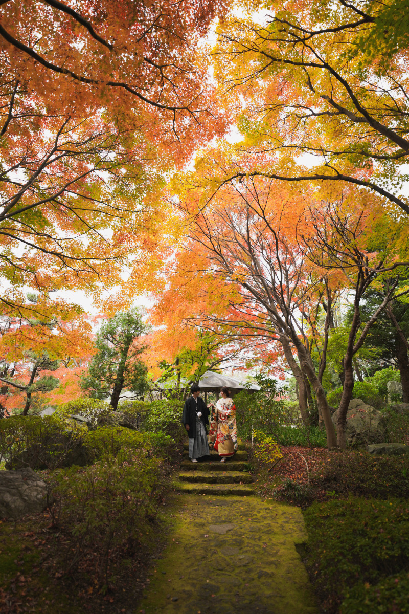 紅葉真っ盛りでした。
