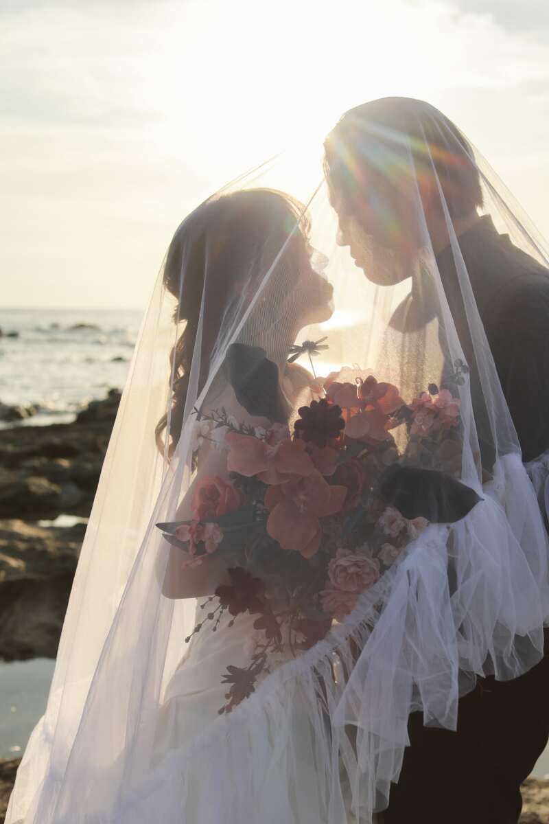 ベールをかぶって