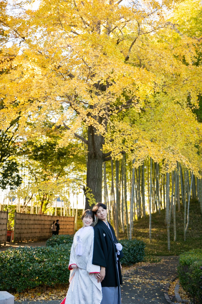 季節を感じられる一枚