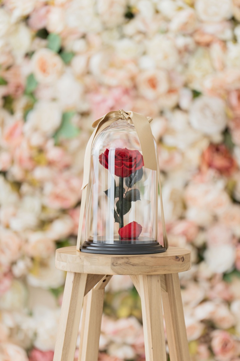 フォトアイテム